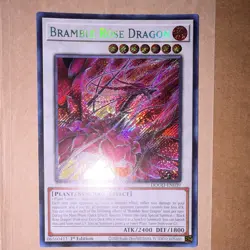 Yu-Gi-Oh! Doom of Dimensions Bramble Rose Dragon DOOD-EN039 1st Ed (Secret Rare) - Image 2