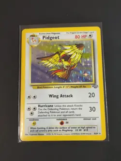 Pokemon TCG Pidgeot Holo Rare Jungle Set 8/64 Wotc 1999 - Image 1