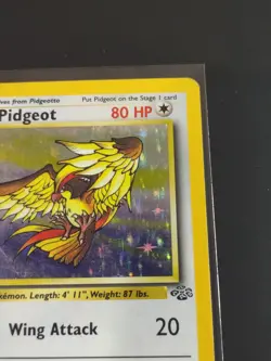 Pokemon TCG Pidgeot Holo Rare Jungle Set 8/64 Wotc 1999 - Image 3