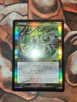 NM FOIL Japanese Hunting Grounds Judgment MTG Magic the Gathering JP 1st Edition - Image 1