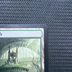 Overgrown Tomb Guilds of Ravnica Regular - Image 3