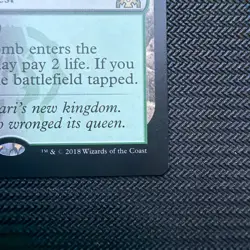 Overgrown Tomb Guilds of Ravnica Regular - Image 4