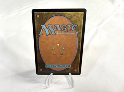 MTG Magic the Gathering Heedless One (265/350) Onslaught LP - Image 2