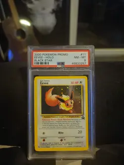 1999-2000 POKEMON TCG PROMO BLACK STAR Card #11 EEVEE-HOLO Graded PSA 8 NM-MT - Image 1