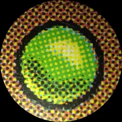 MTG | Mirri's Guile | Tempest | Regular | Heavily Played | English - Image 3