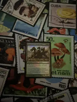 Polukranos, World Eater Foil Duel Decks Heroes vs. Monsters Card #43/81 MTG Magi - Image 2