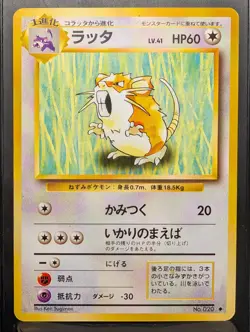 Raticate No. 020 Uncommon Base Set Pokemon Japanese NM - Image 2