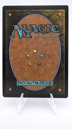Soul Warden (Rainbow Foil) Secret Lair Drop Foil - Image 2