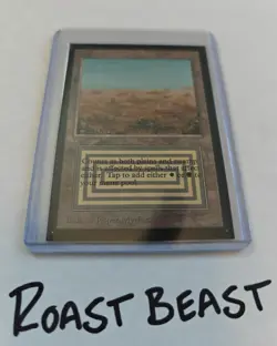 Magic The Gathering - Collectors' Edition - Scrubland Domestic Edition 1993 LP - Image 1