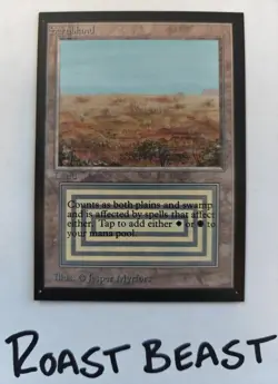 Magic The Gathering - Collectors' Edition - Scrubland Domestic Edition 1993 LP - Image 2