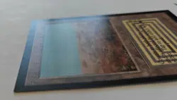 Magic The Gathering - Collectors' Edition - Scrubland Domestic Edition 1993 LP - Image 4