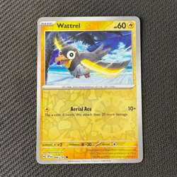 Wattrel 066/191 Reverse Holo Pokemon TCG: Surging Sparks Near Mint (NM) - Image 1
