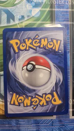 Pokemon Card - Poliwag Ptitard FRENCH Base Set 59/102 - Image 2
