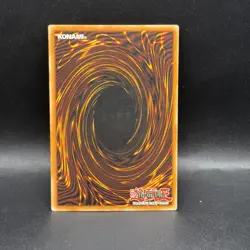 Dark Paladin DMG-001 Duel Master's Guide Limited Edition - Image 2