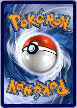 Totodile 81/111 First Partner Pack Jumbo Card Pokemon Near Mint - Image 2