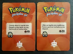 RATTATA X RATICATE EVOLUTION LOT - POKEMON KANTO DKV COLLECTIONS CCG CARDS - Image 2