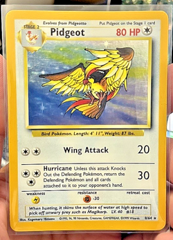 1999 Pokemon TCG 8/64 PIDGEOT Holo Rare Jungle Set NO SYMBOL ERROR MISPRINT LP - Image 1