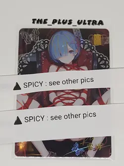 Goddess Story Dream Of Desire Anime Waifu Card BIR-05 Rem Re Zero - Image 1