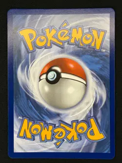 Pokemon TCG | Mega Hawlucha ex ME: Ascended Heroes 116/217 | Double Rare - Image 2