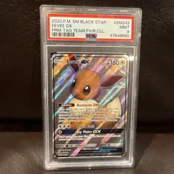 2020 POKEMON BLACK STAR PROMO SM242 EEVEE GX TAG TEAM POWERS COLLECTION Psa 9 - Image 1