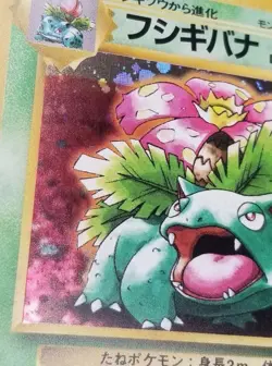 [NM] (D) Read! Japanese CD Promo Venusaur No. 003 Holo 1998 Pokemon TCG - Image 2