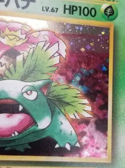 [NM] (D) Read! Japanese CD Promo Venusaur No. 003 Holo 1998 Pokemon TCG - Image 3