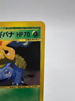 Pokemon Card Dark Venusaur Holo 041/048 1st Edition Web 2001 Japanese - Image 3