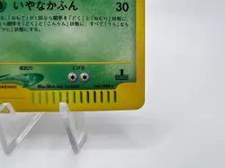 Pokemon Card Dark Venusaur Holo 041/048 1st Edition Web 2001 Japanese - Image 5