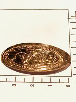 Snivy Tepig Souvenir Medal Pokemon coin Very Rare From Japan Nintendo F/S - Image 5