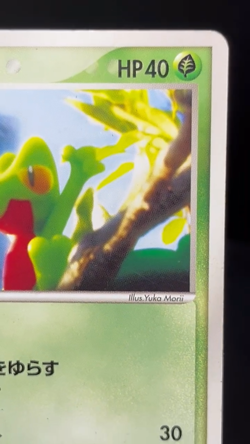 (MP) Treecko 037/PCG-P Yokohama Pokemon Center PROMO Japanese Pokemon Card - Image 2