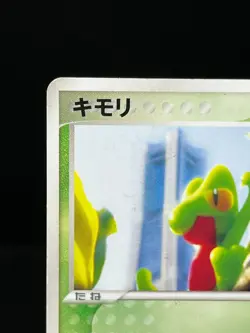 (MP) Treecko 037/PCG-P Yokohama Pokemon Center PROMO Japanese Pokemon Card - Image 4