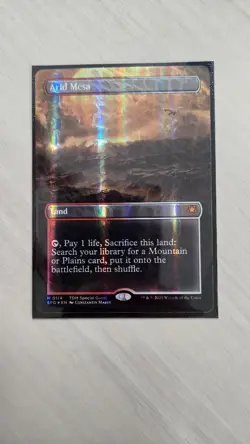 Arid Mesa (Borderless) (Dragonscale Foil) Special Guests Foil - Image 2