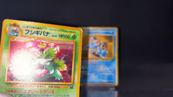 Venusaur Blastoise Intro Pack Squirtle Deck Holo Mp Lp Japanese Pokemon Card - Image 2