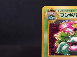 Venusaur Blastoise Intro Pack Squirtle Deck Holo Mp Lp Japanese Pokemon Card - Image 3