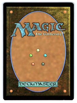 Swamp (Secret Lair x Arcane: Lands) FOIL- Secret Lair MTG - Image 2