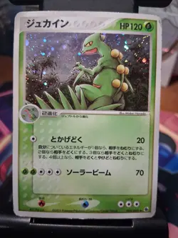 Sceptile 003/055 ADV Expansion Pack Holo 2003 Japanese Pokemon Card - Image 1