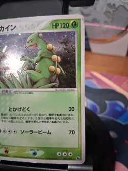 Sceptile 003/055 ADV Expansion Pack Holo 2003 Japanese Pokemon Card - Image 2