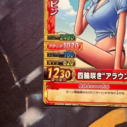 Nico Robin C254-W Out of Print One Piece Berry Match Double One Piece JP - Image 4