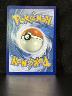 Raikou SM150 STAFF Pre Release Promo Lost Thunder Pokemon Card NM - Image 5