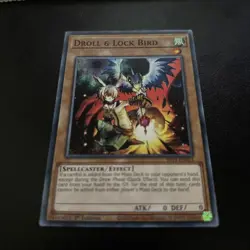 Droll & Lock Bird SR14-EN023 Common Yugioh Card 1st Edition Mint - Image 1