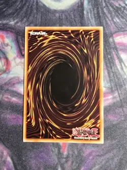 Spellbinding Circle DPYG-EN026 - Yugi - Unlimited|Unlimited Edition - Image 2