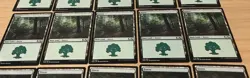 Forest (Green) - Basic Lands x20 Cards - Magic the Gathering MTG M20 Excellent - Image 4