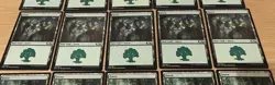 Forest (Green) - Basic Lands x20 Cards - Magic the Gathering MTG M20 Excellent - Image 5
