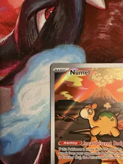 Numel - 223/217 Ascended Heroes Illustration Rare - Pokemon TCG -- NM - Image 2