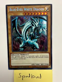 Blue-Eyes White Dragon Secret Rare Ct14-EN002 (LP 1st Edition) - Image 1