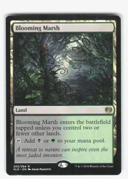 Blooming Marsh R Kaladesh 243 LP - Image 1
