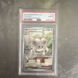 Pokemon TCG Cinccino Sv: Black Bolt Illustration Rare Holo English PSA 8 - Image 1