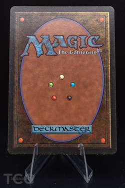 Plains (C) - 1993 Magic the Gathering - Limited Edition Beta Regular - Image 2
