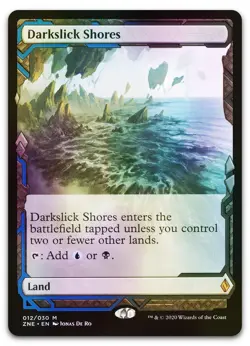 Darkslick Shores #12 (Foil) (NM) Zendikar Rising Expeditions ZNE Magic MTG - Image 1