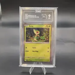 Snivy Pokemon 2025 Black Bolt & White Flare Poster 001/086 Holo TAG 9 MINT - Image 1